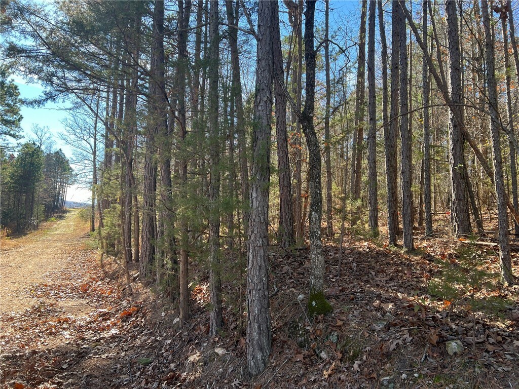 Property Photo:  Lot 1 Tbd Nc 3015  AR 72641 