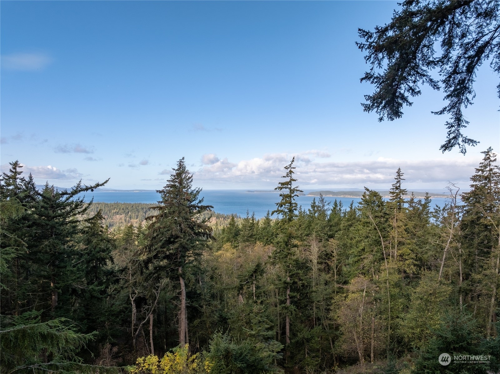 Property Photo:  540 Wright Road  WA 98245 