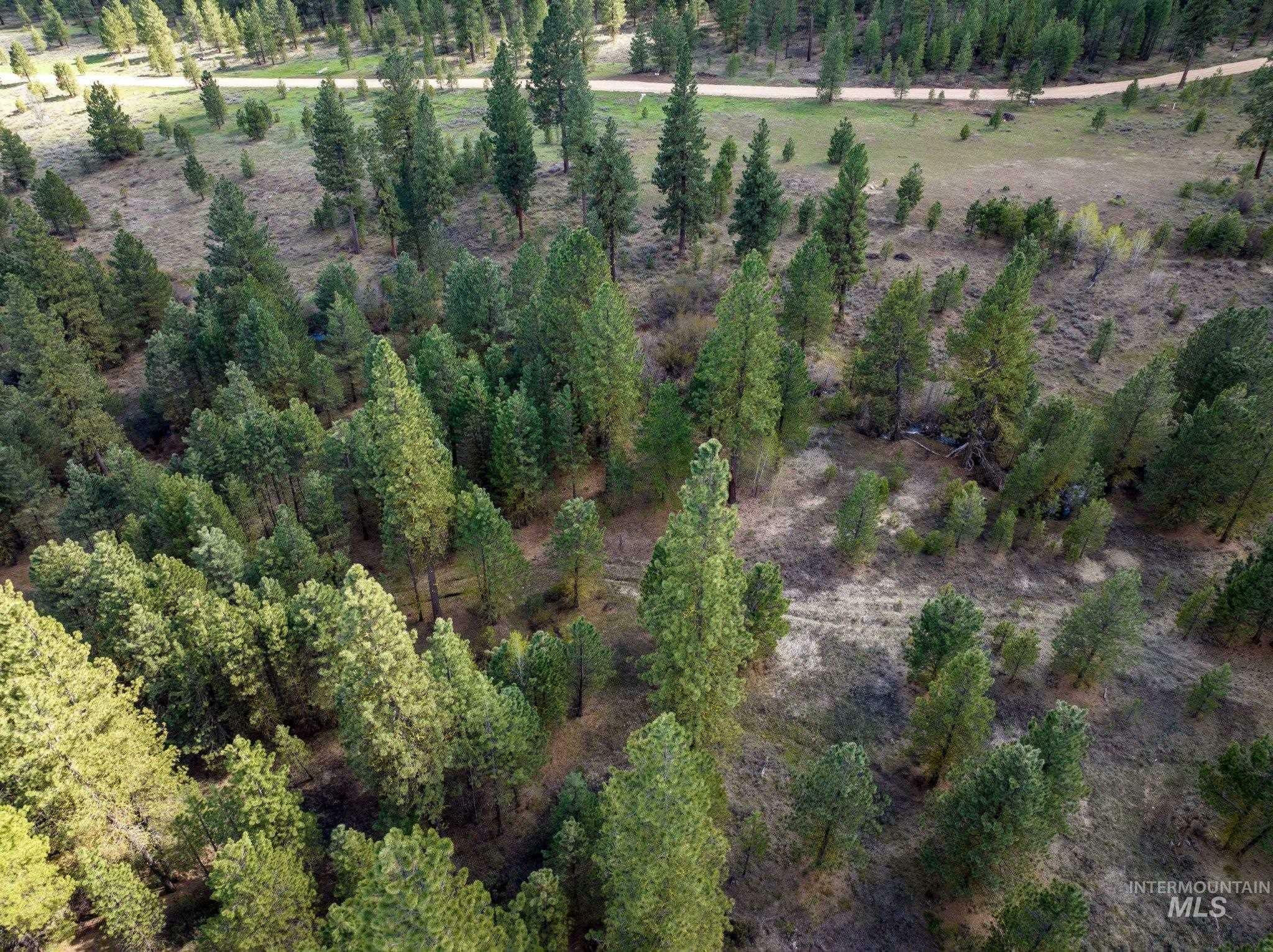 Property Photo: Lot 29 Trail Creek Ct ID 83631