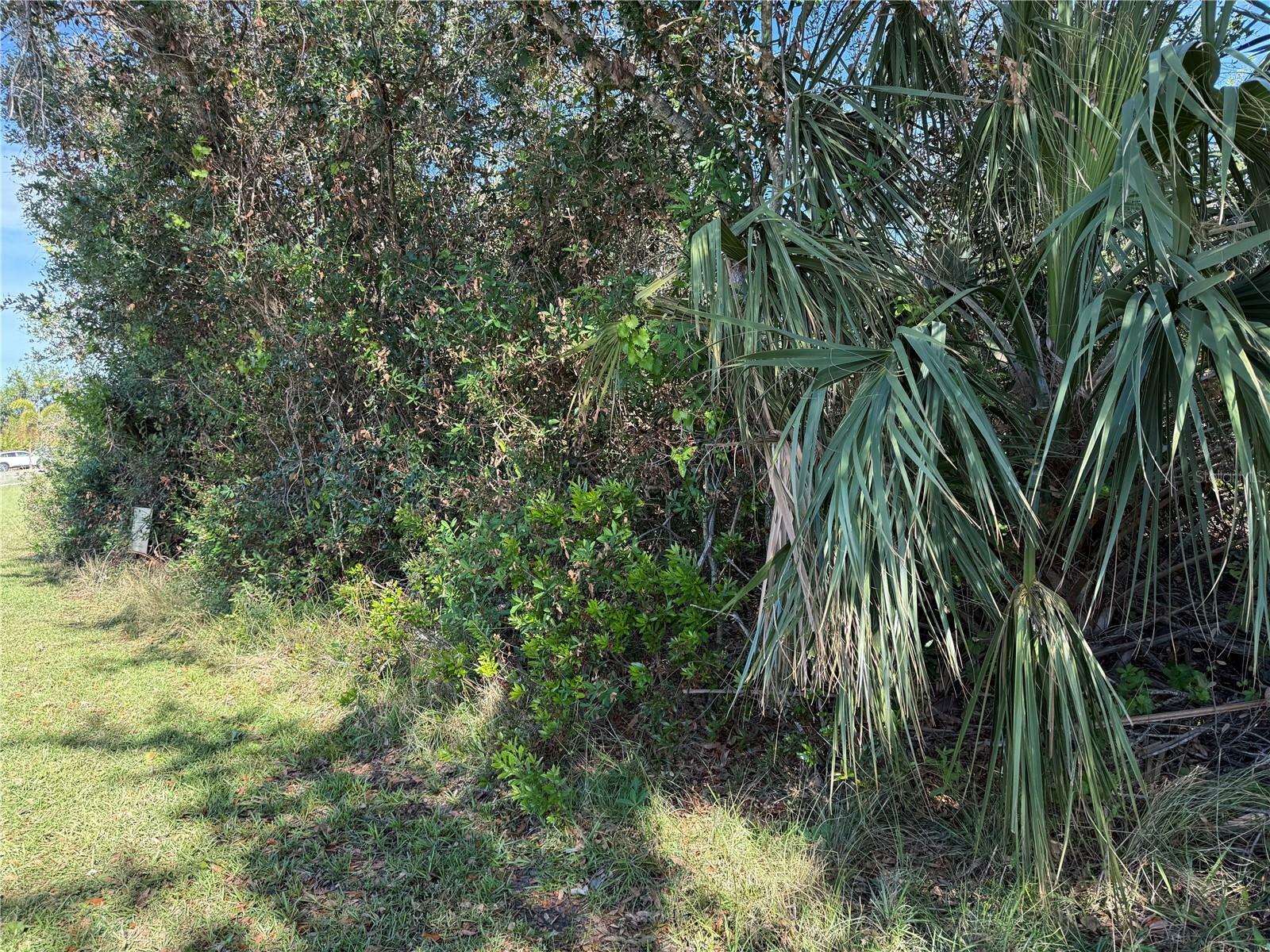 Property Photo:  6360 Brookridge Street  FL 34224 