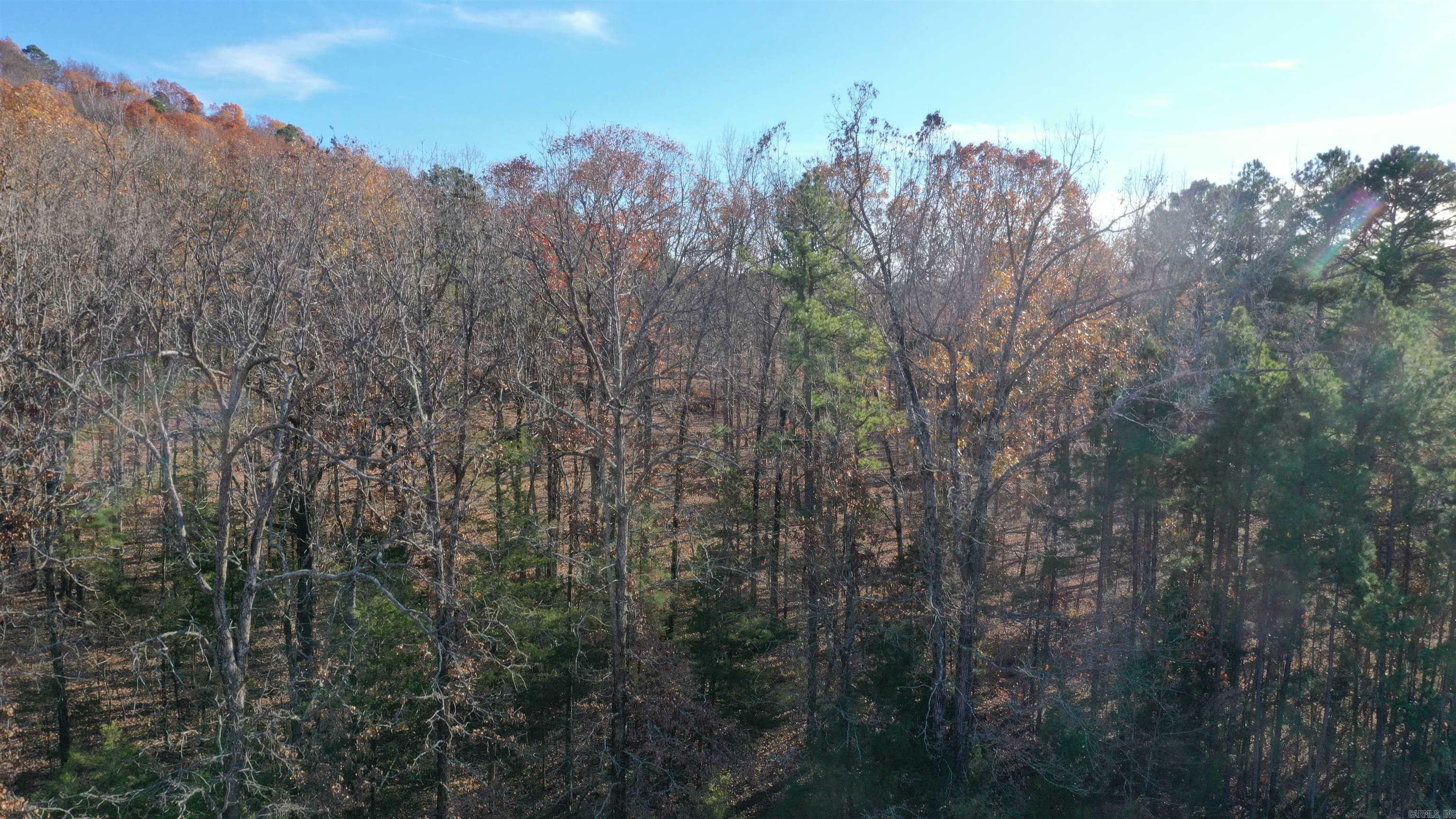 Property Photo:  Lot 1 Old Military Rd  AR 72034 