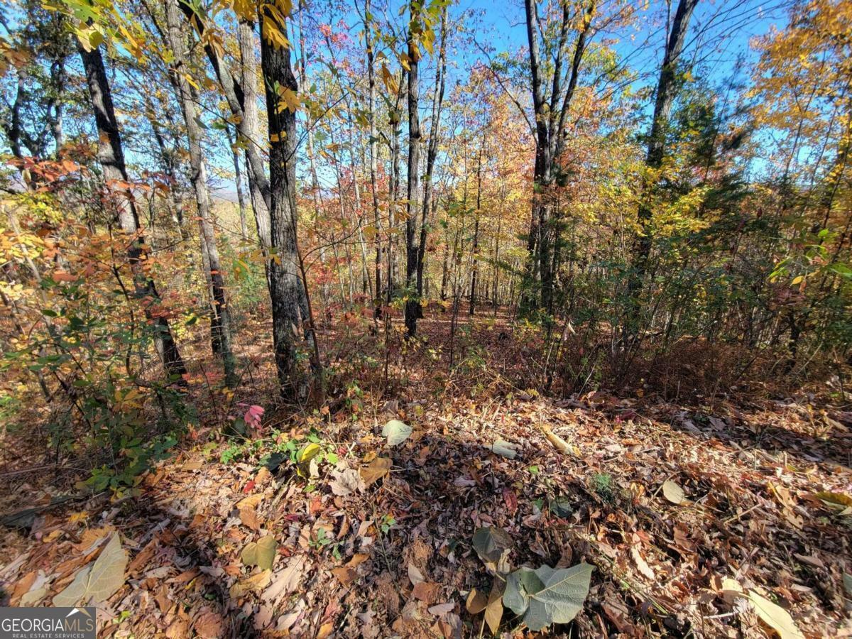 Property Photo:  8 Ac Old Burnt Mountain  GA 30540 