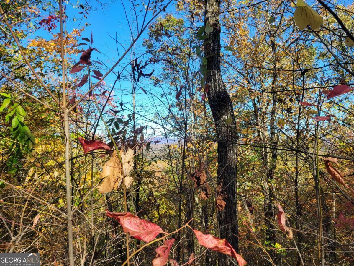 Property Photo:  6 Ac Old Burnt Mountain  GA 30540 