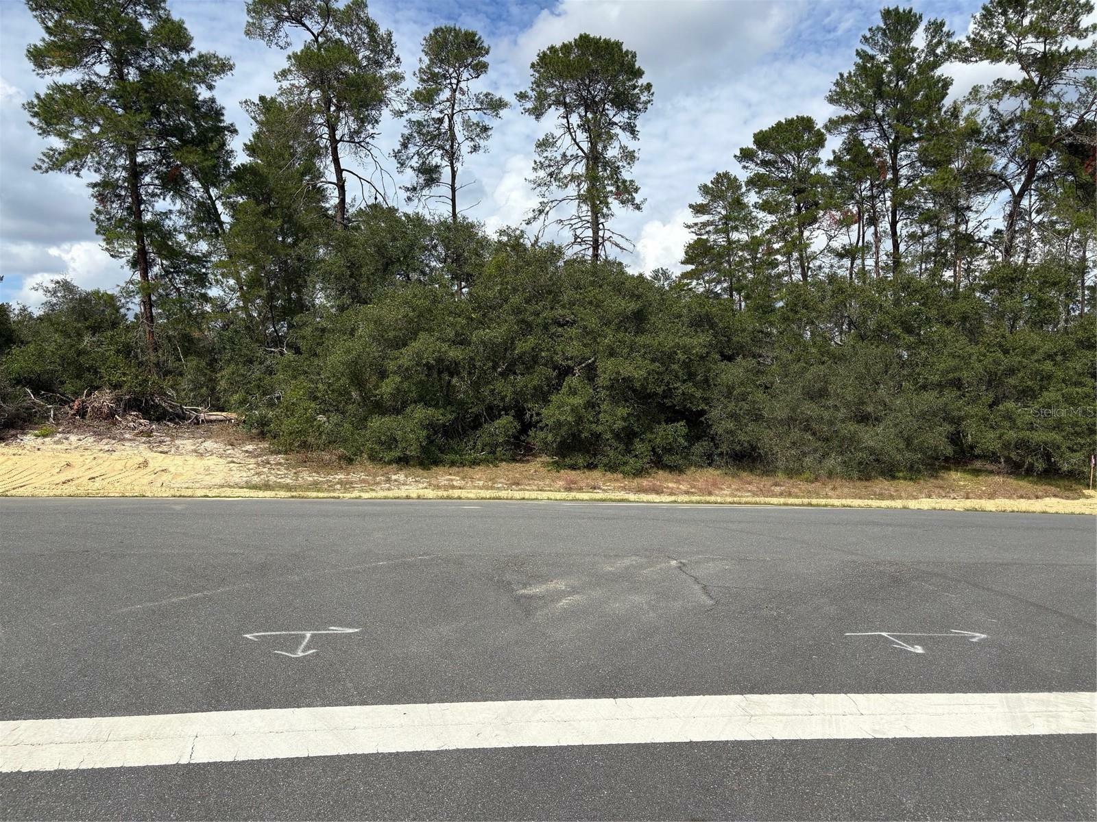 0 SW 176th Lane Road  Ocala FL 34473 photo