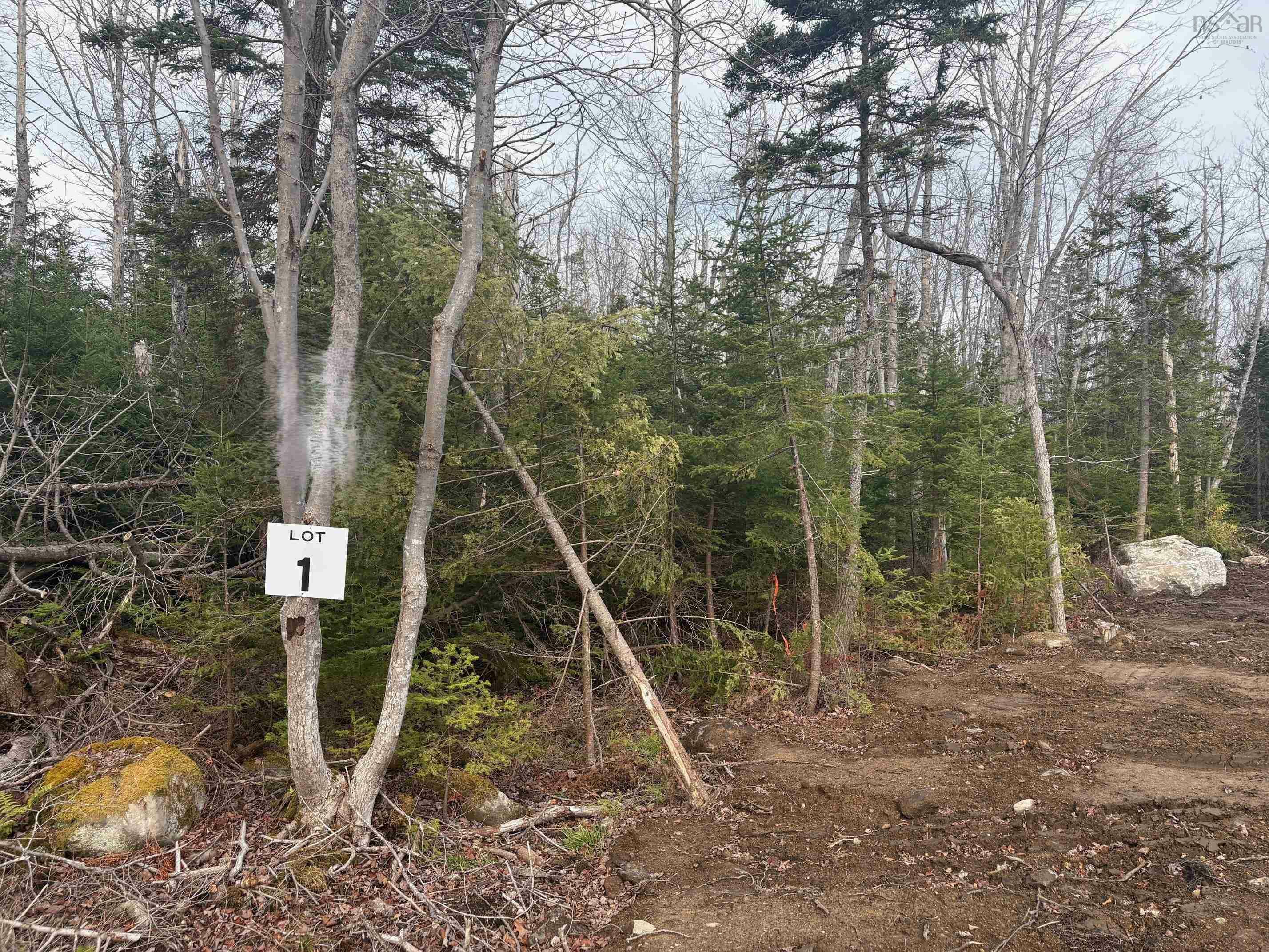Property Photo: Larry Seldon Lane Lot 1 NS B0T 1K0