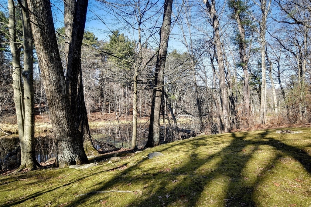 Property Photo:  29 Indian Ridge Road  MA 01760 