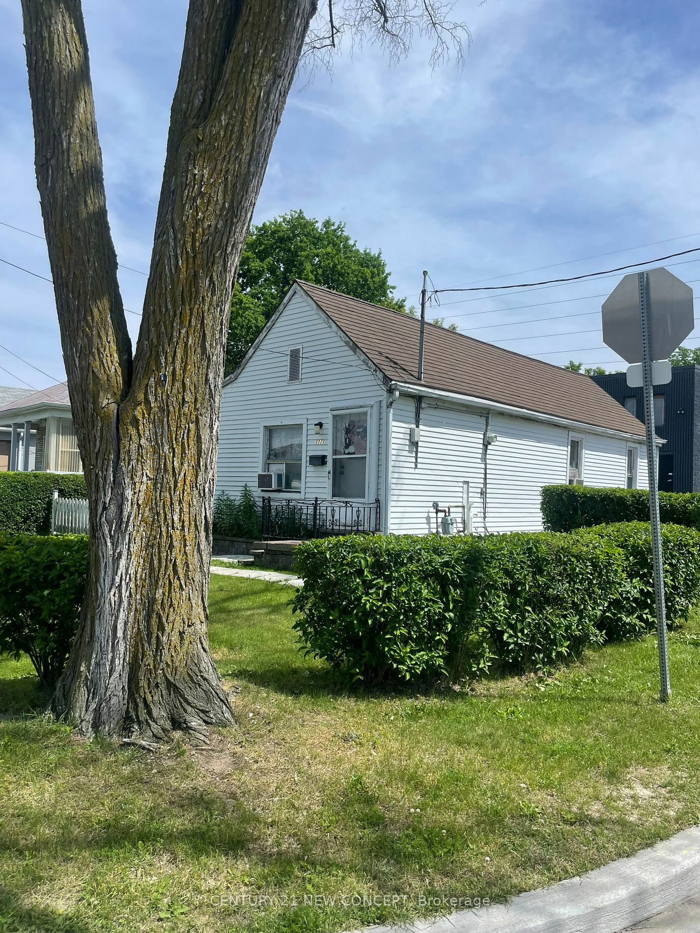 Property Photo:  1171 Roselawn Ave  ON M6B 1C5 