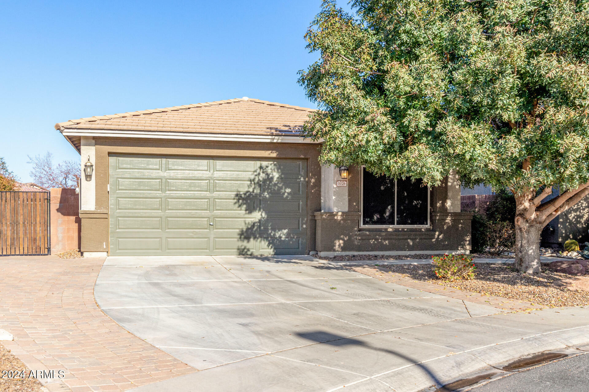 Property Photo:  1026 W Dove Tree Avenue  AZ 85140 