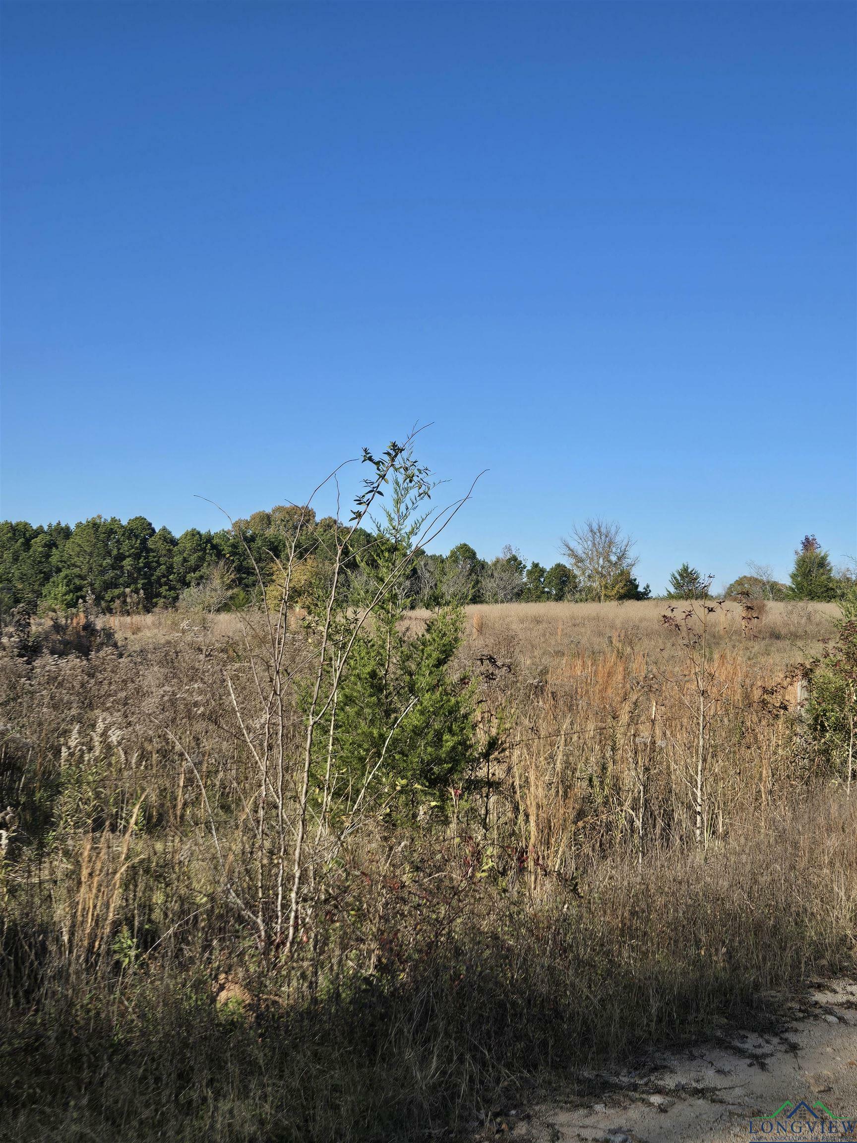 Property Photo:  0000 Cr 474 Tract 2  TX 75687 