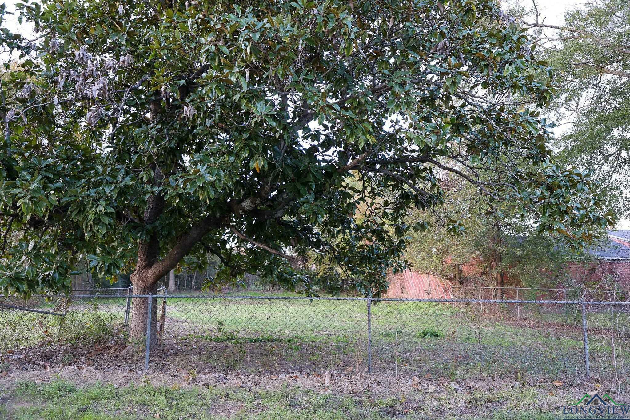 Property Photo:  804 W Crawford St.  TX 75633 