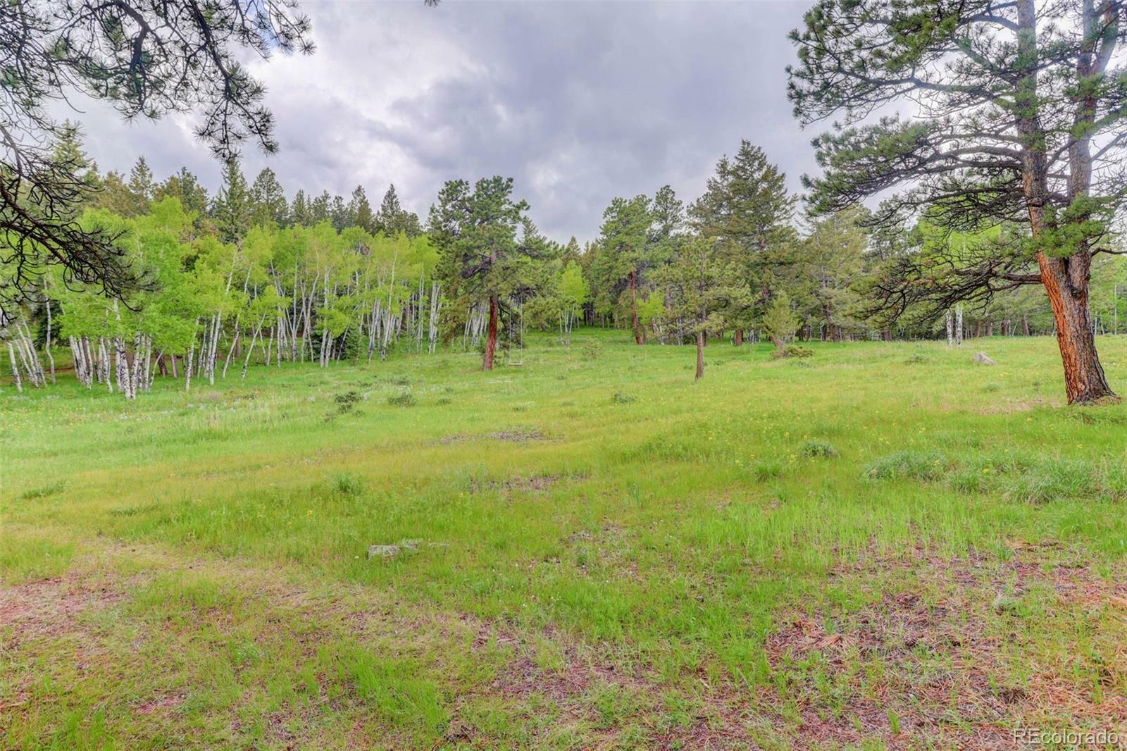 Property Photo: 0000 S Elk Ridge CO 80439