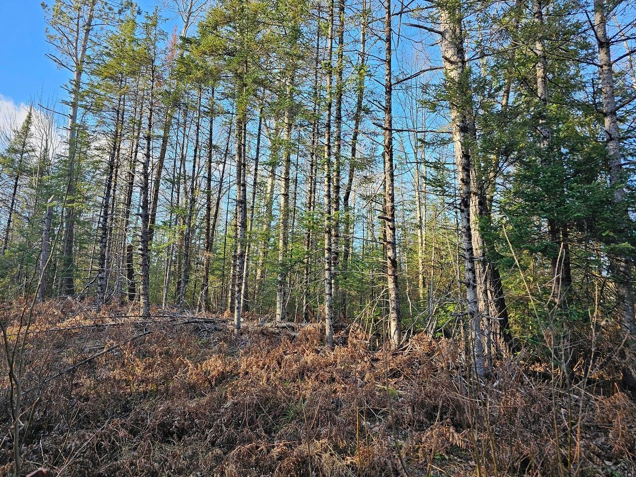 Property Photo: Tbd Hwy 51 WI 54534