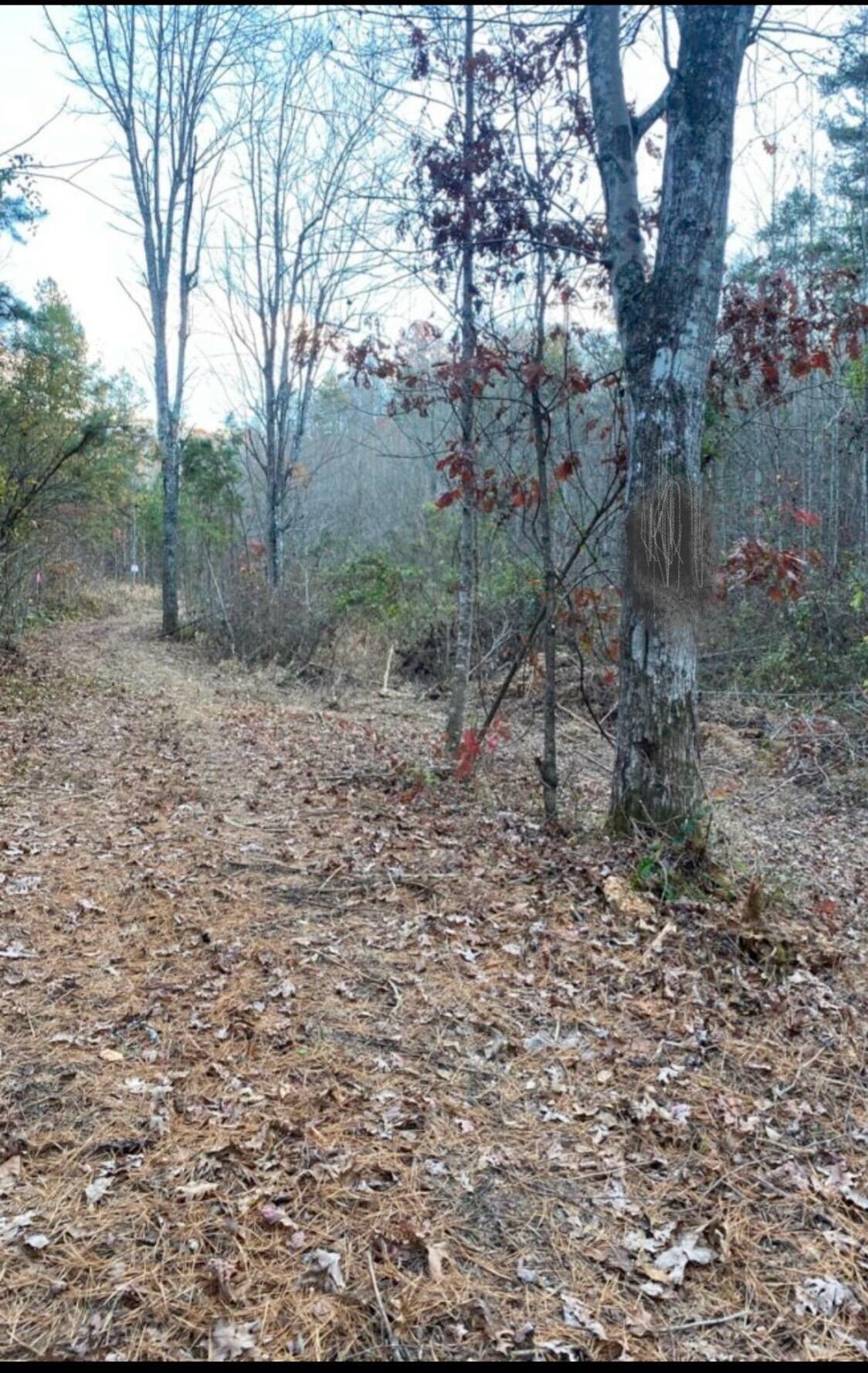 Property Photo:  999 State Hwy 577  KY 40402 