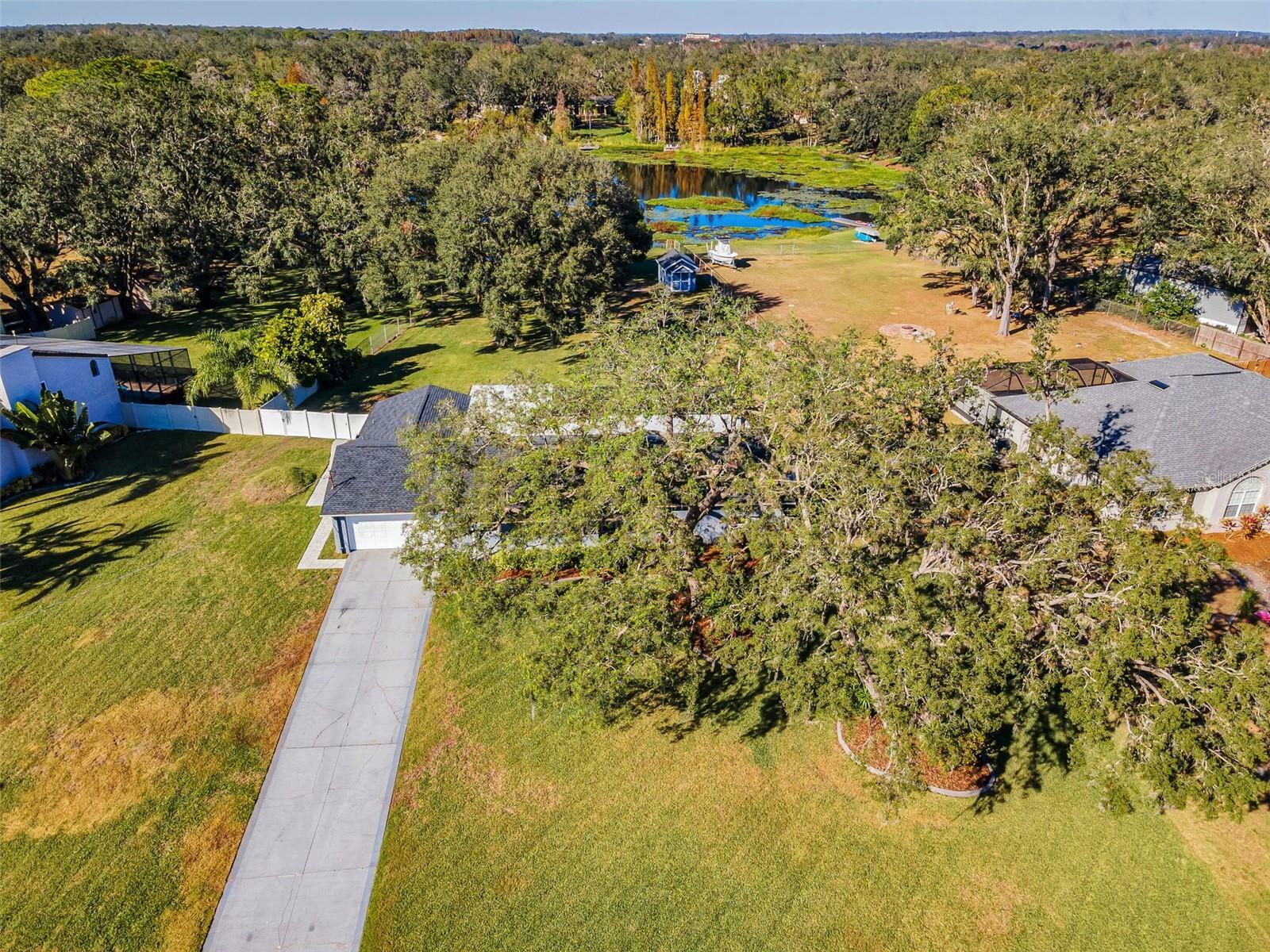 Property Photo:  11409 Donneymoor Drive  FL 33569 