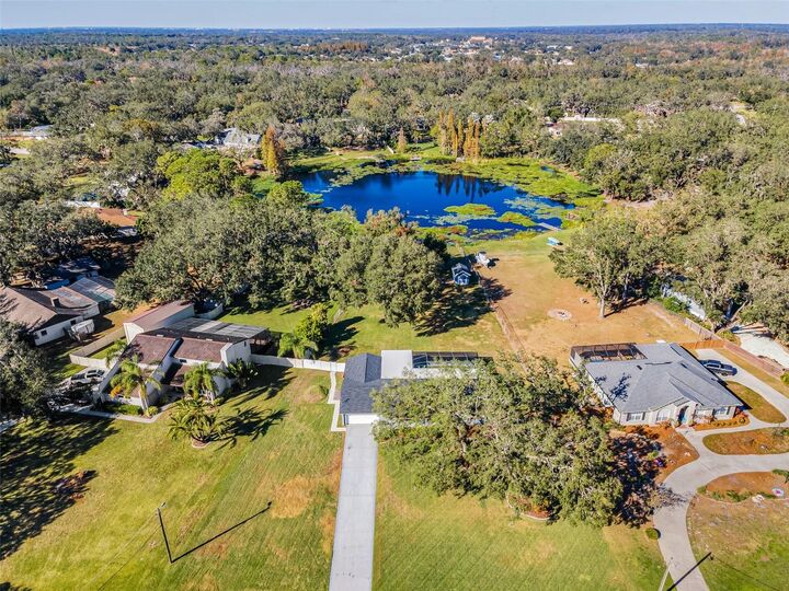Property Photo: 11409 Donneymoor Drive FL 33569