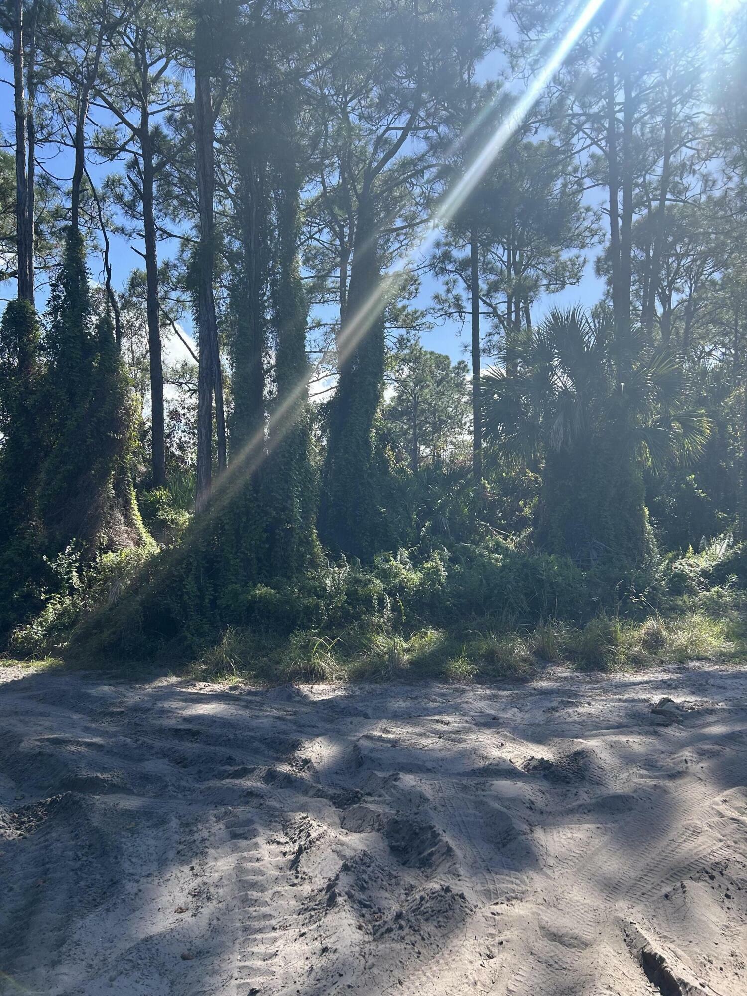 Property Photo:  0 Slash Pine Trail  FL 34945 