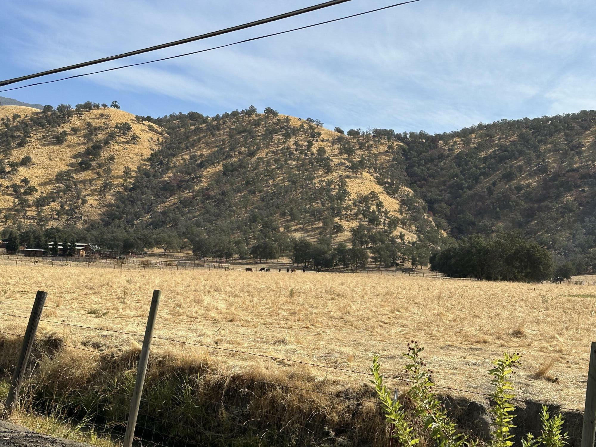 Property Photo:  Globe (8.5 Acres) Drive  CA 93265 