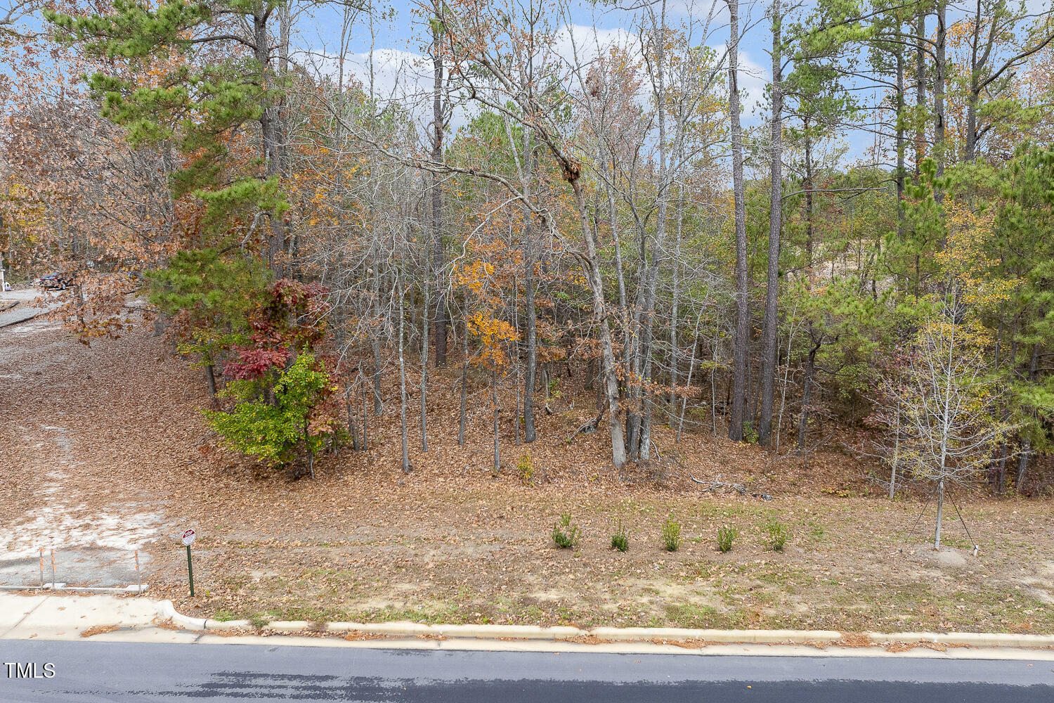 Property Photo:  0 Sneed Lane  NC 27526 