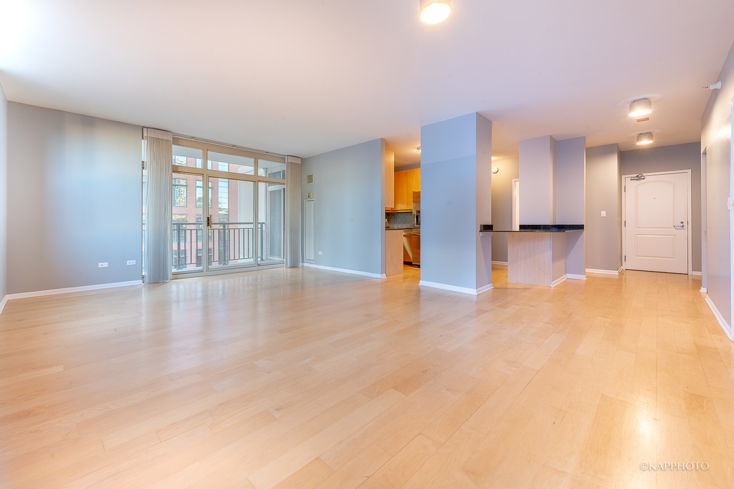 Property Photo:  21 W Chestnut Street 909  IL 60610 