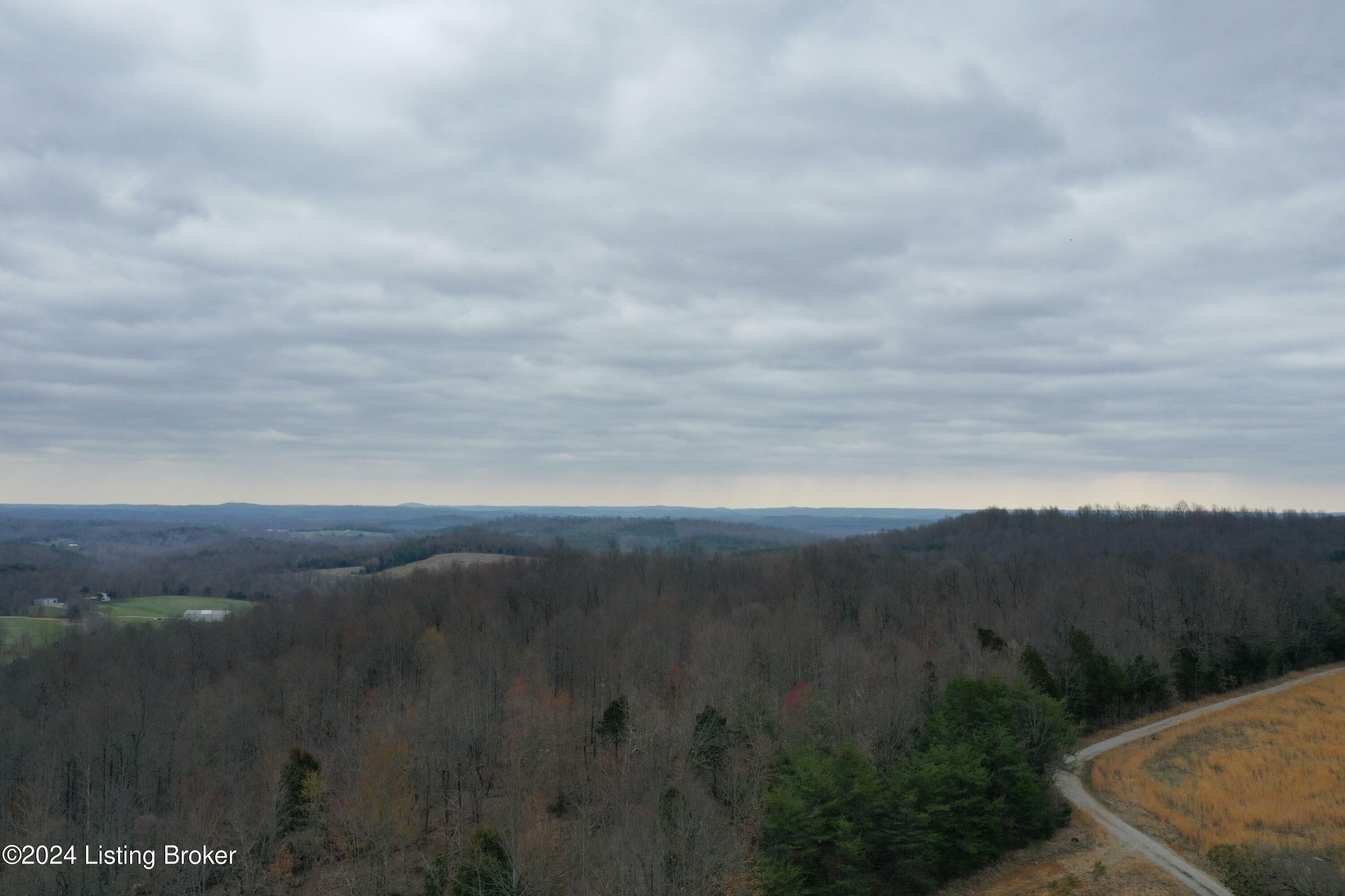 Property Photo:  0 Levita Township Rd  KY 42726 