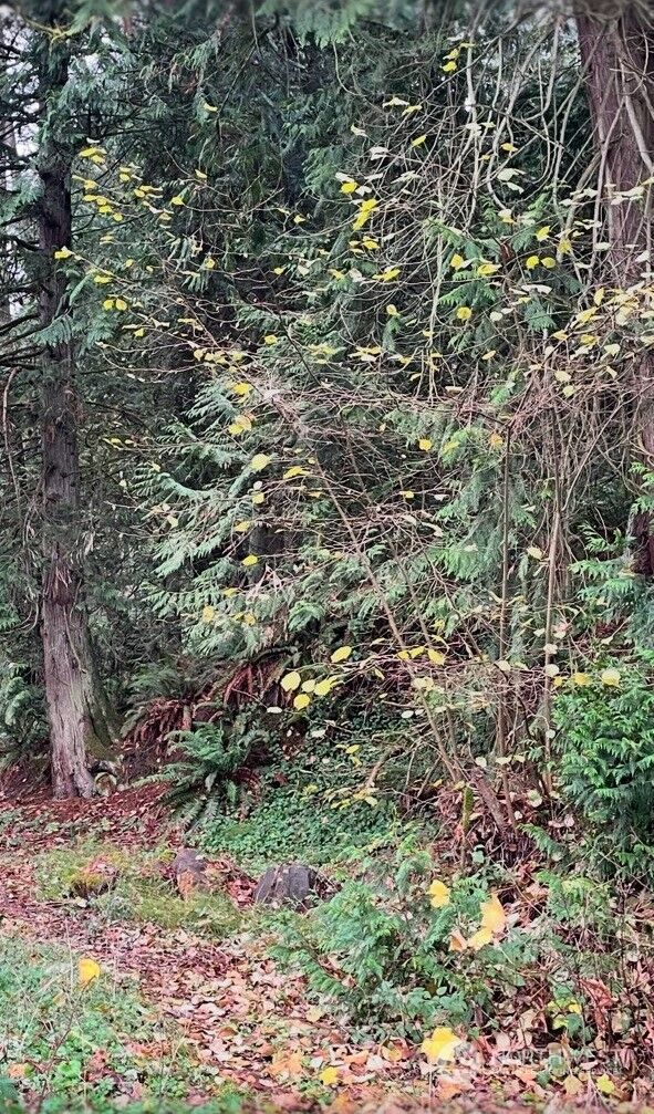 Property Photo:  3560 W Lake Sammamish Parkway SE  WA 98006 