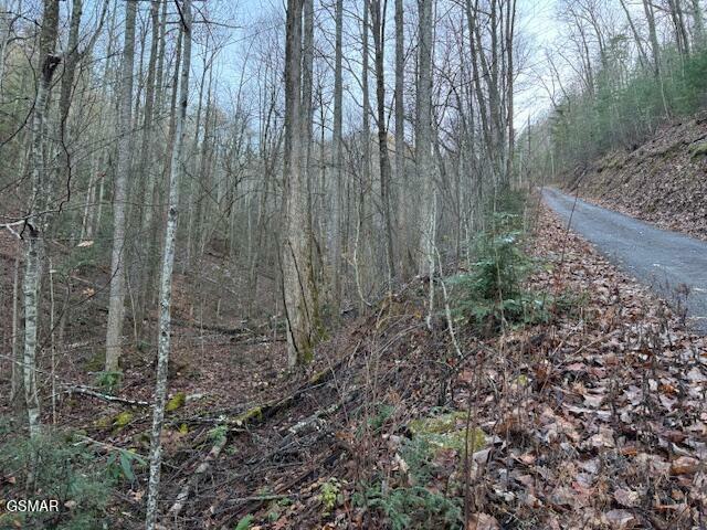 Property Photo:  Lot 5 High Ridge Way  TN 37862 