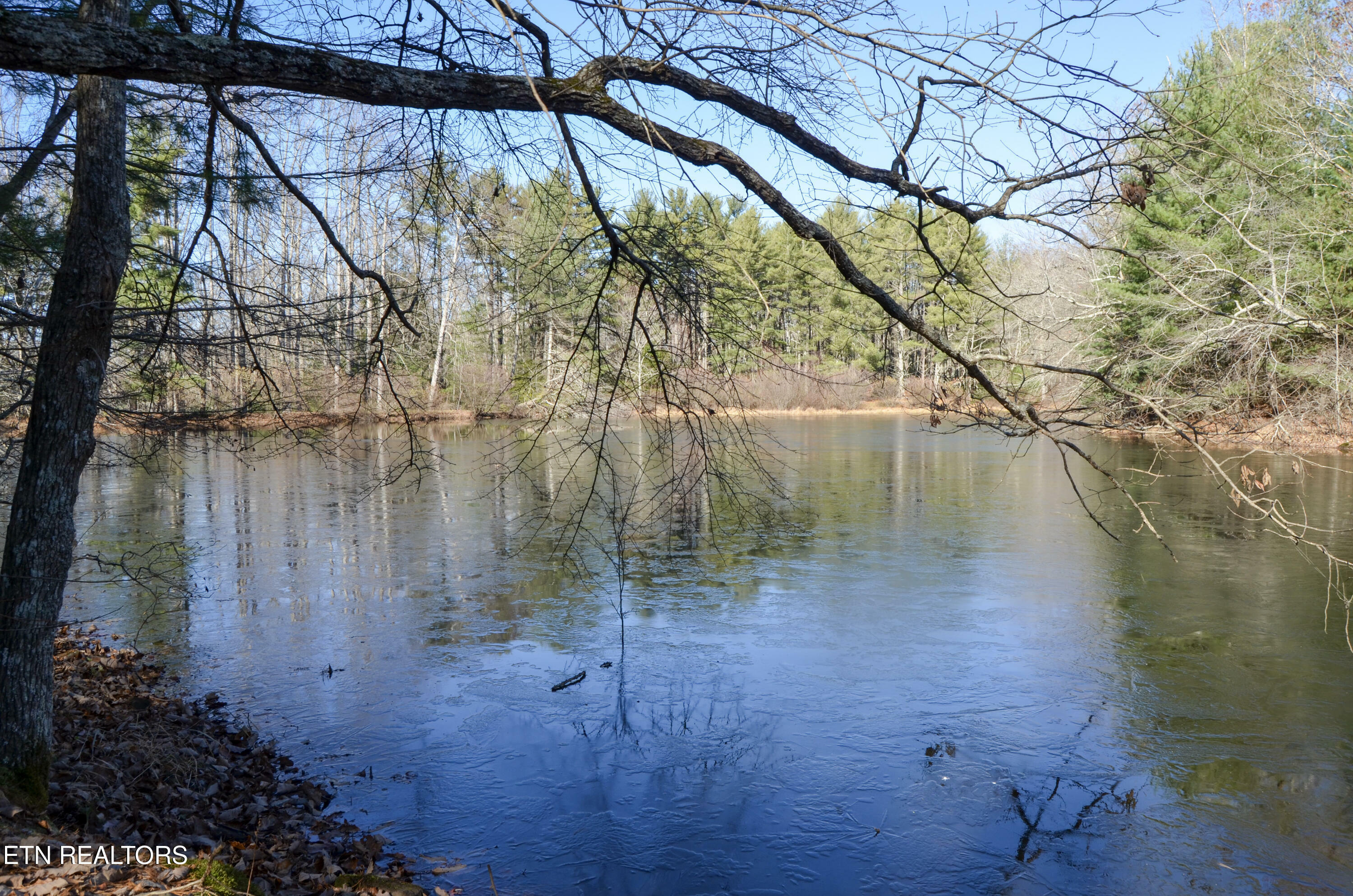 Sparta Hwy 31.64 +/- Acres  Crossville TN 38555 photo