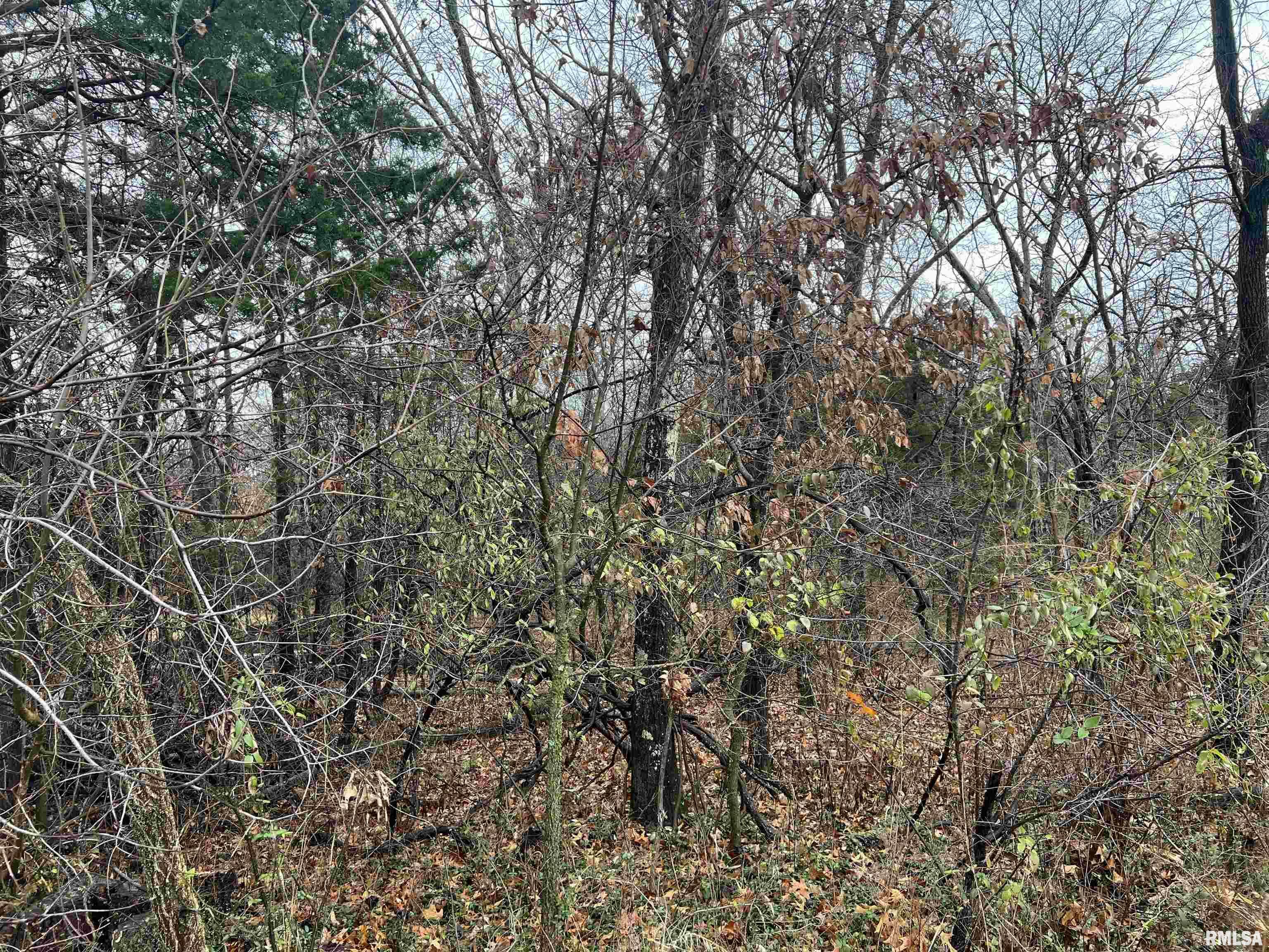 Property Photo: 2975 Eagle Point Bay Road IL 62939