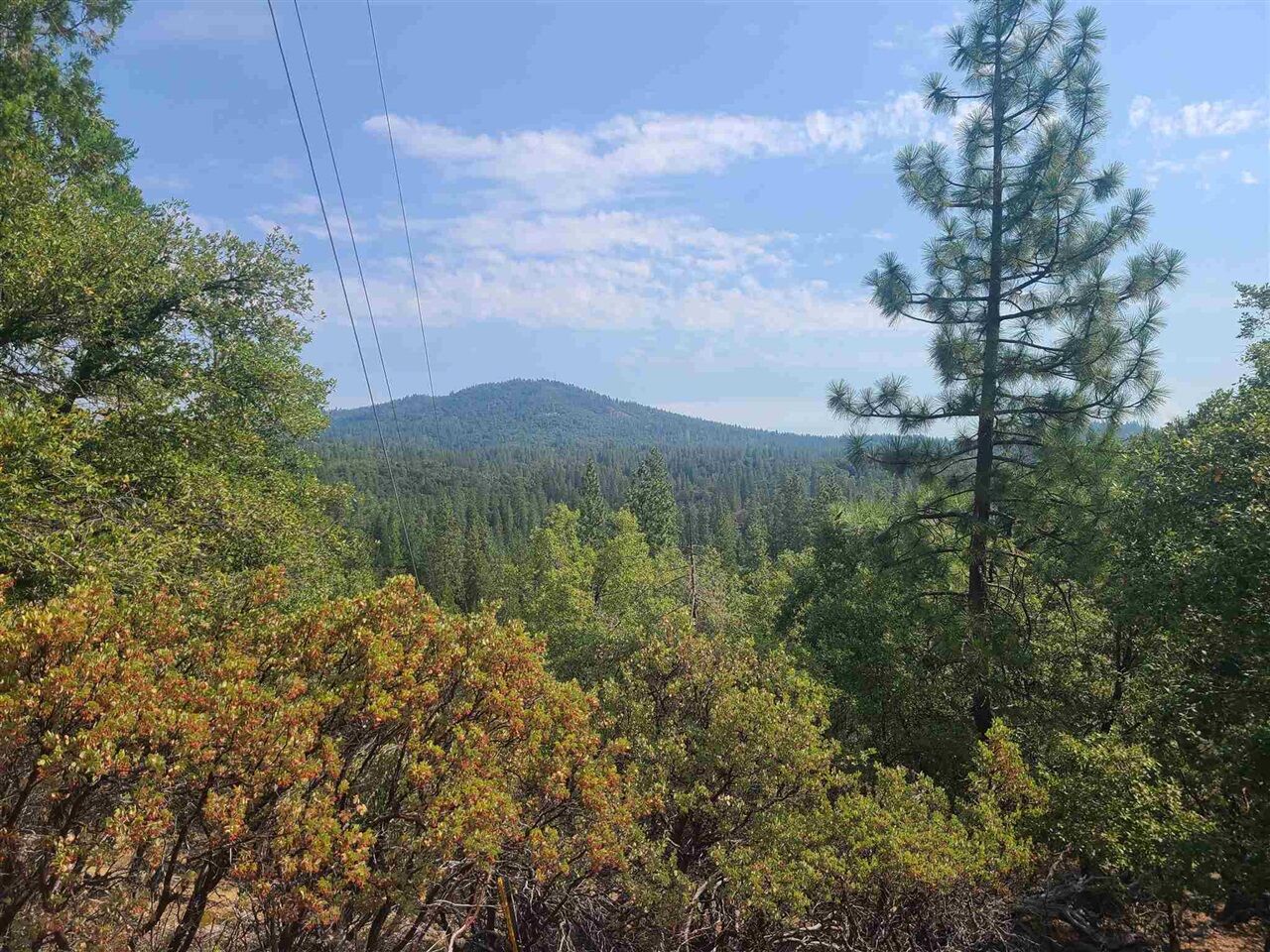 Property Photo:  17320 Mount Everest  CA 95370 