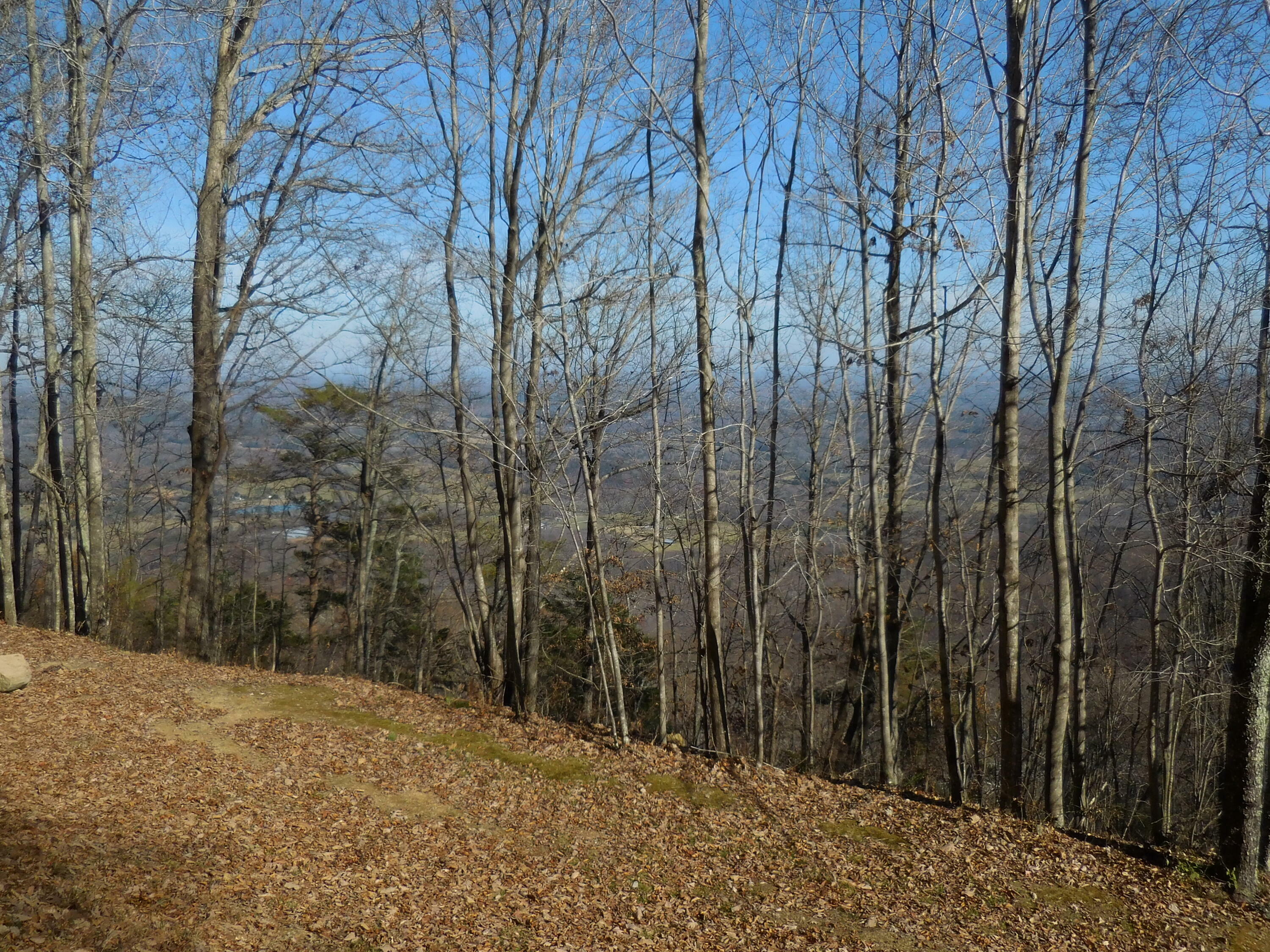 Property Photo:  H57 Tatum Mining Road  GA 30731 