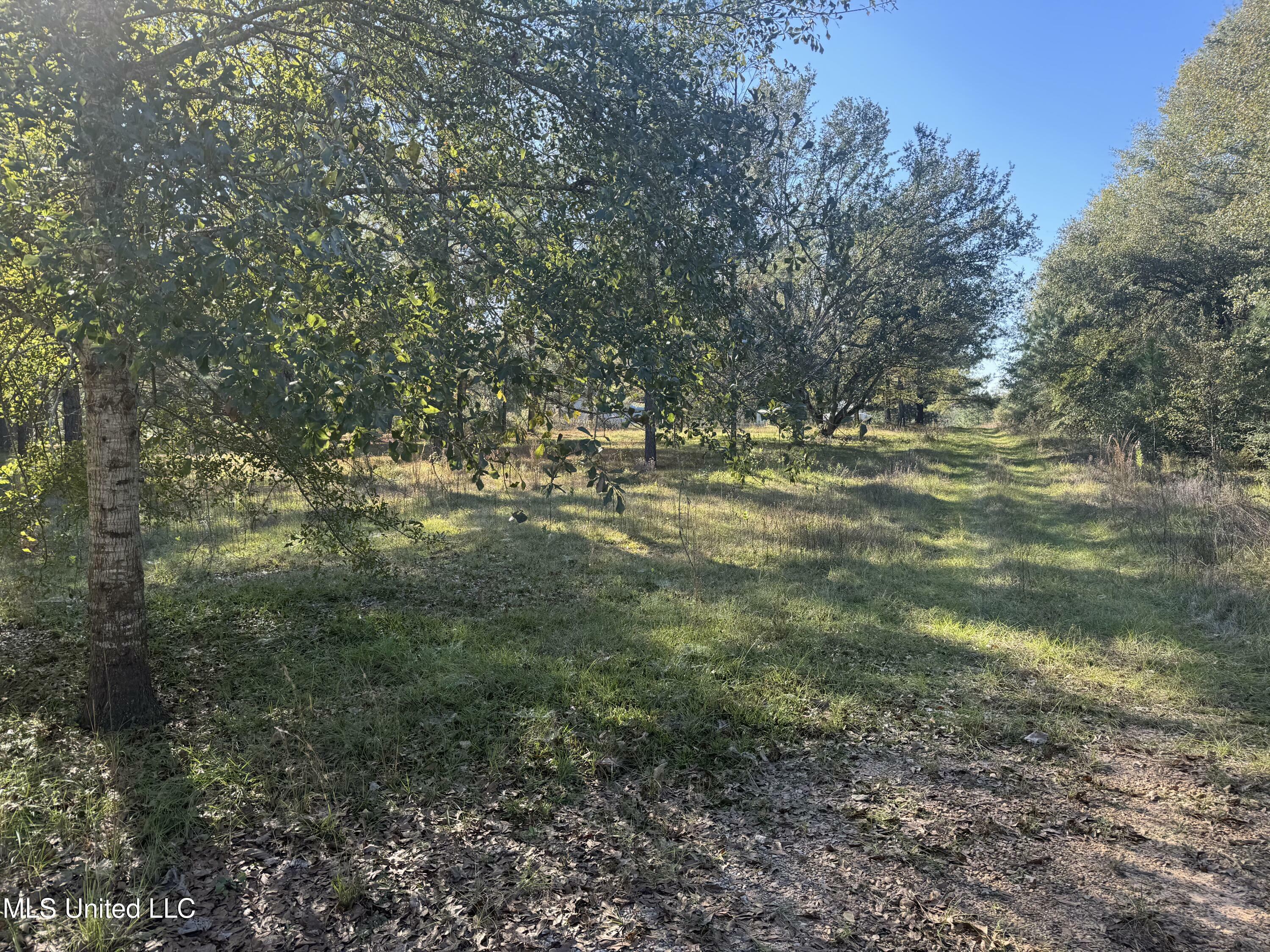 Property Photo:  Robert Dubose Road  MS 39455 