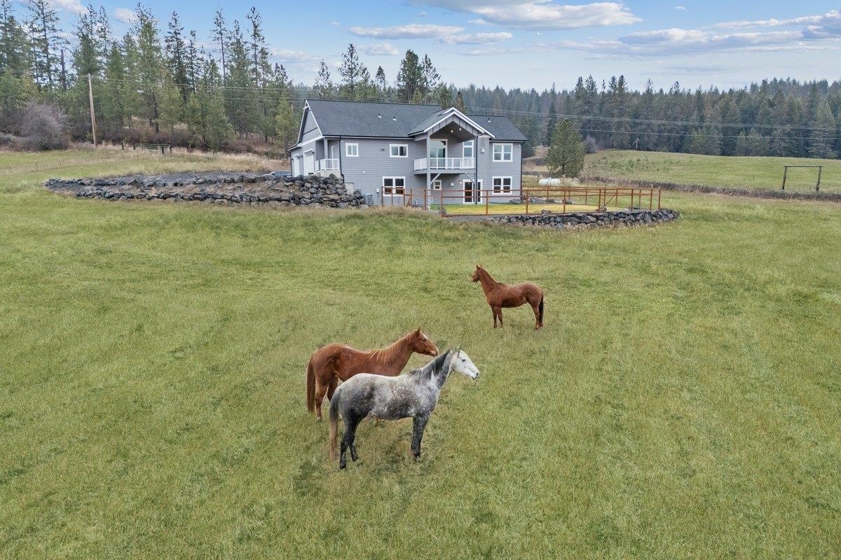 Property Photo:  9909 E Tallman Rd  WA 99003 
