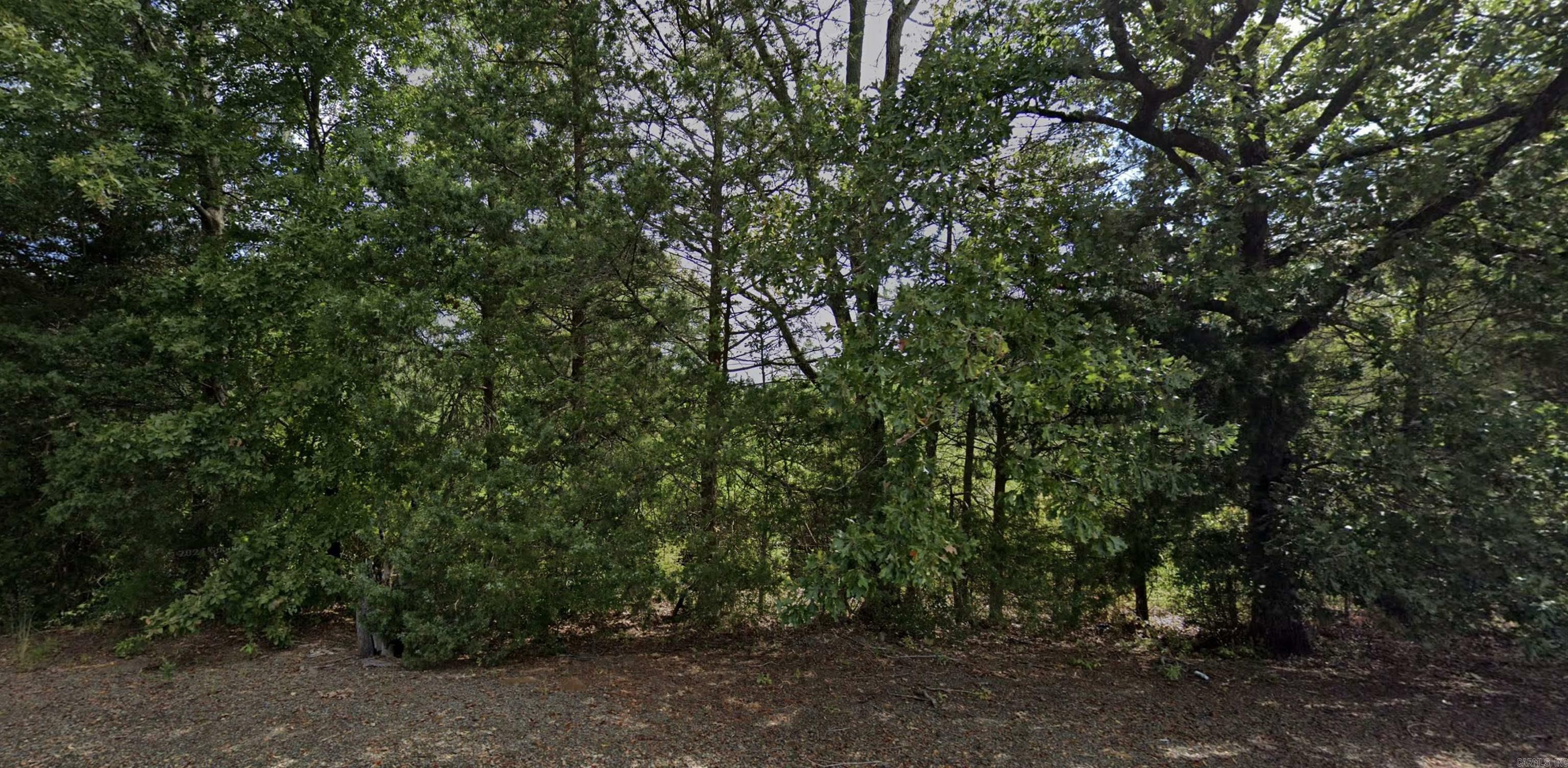 Property Photo:  Lot 2 Cargile Sub.  AR 72032 