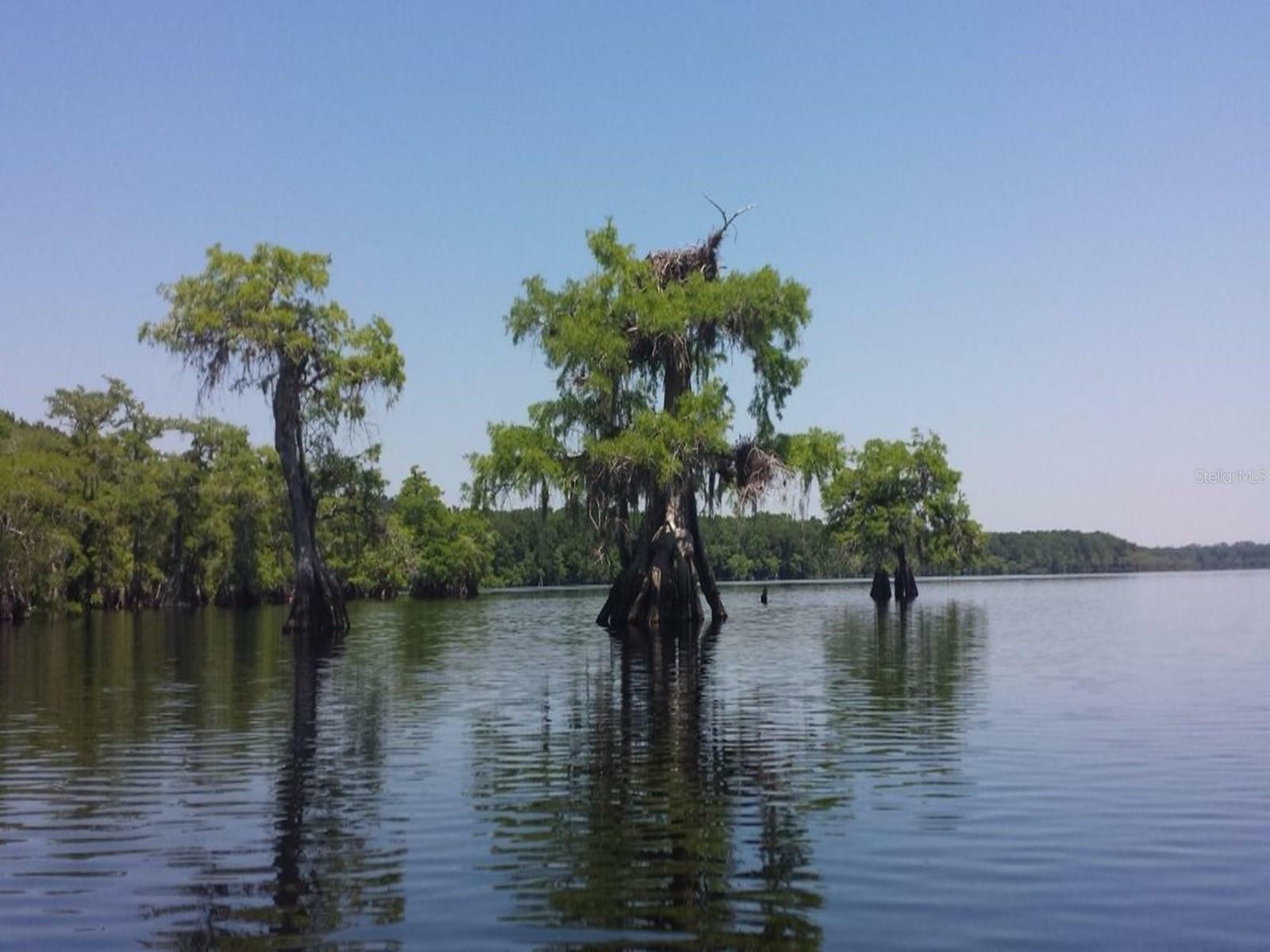 Property Photo: Royal Trails Road FL 32736