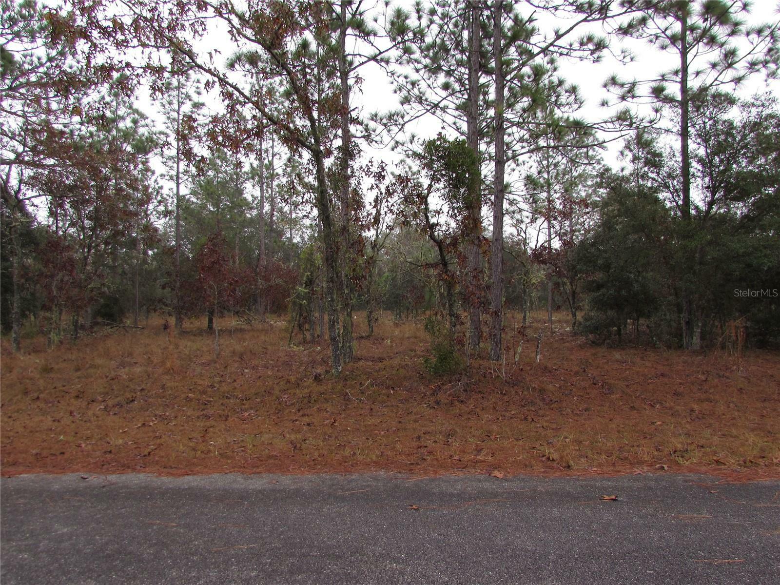 Property Photo:  Lot 57 SE 131 Terrace  FL 34431 