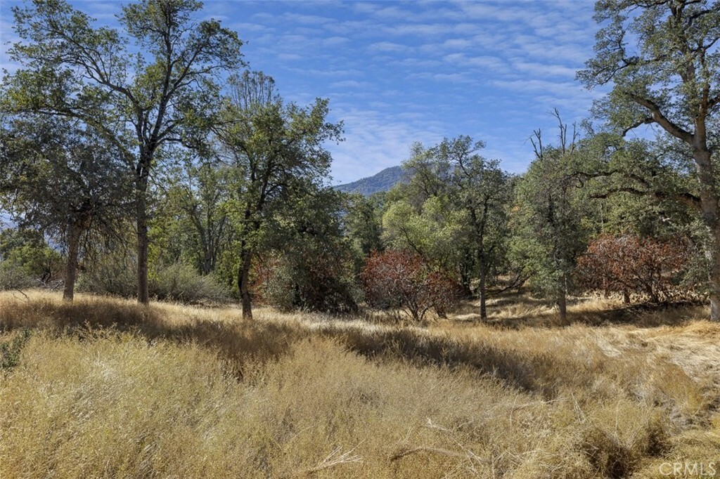 Property Photo:  0 39.29 Ac Village Drive  CA 93644 