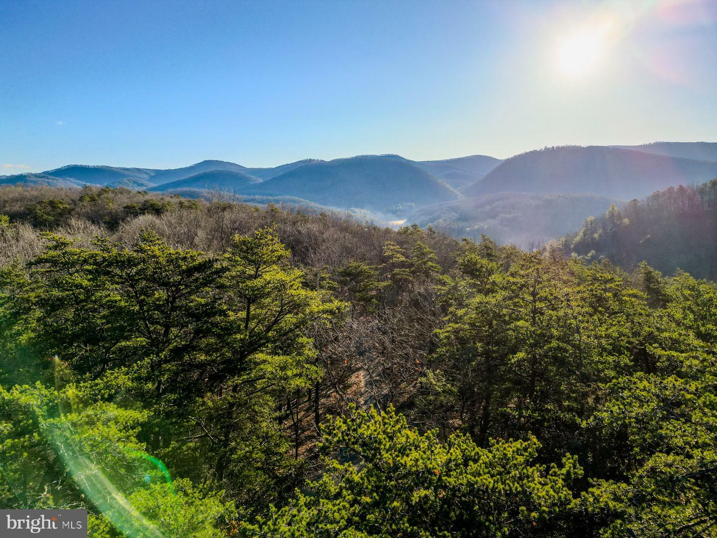 Property Photo:  77.45 Ac Mountain Cove  WV 26847 