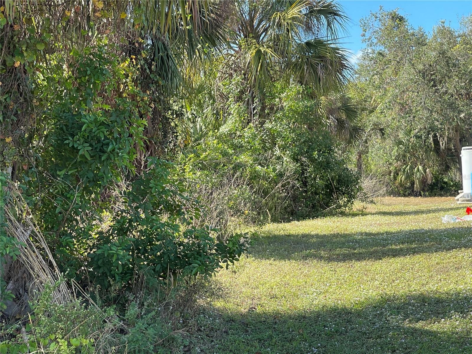 Property Photo:  Sarletto Street  FL 34287 