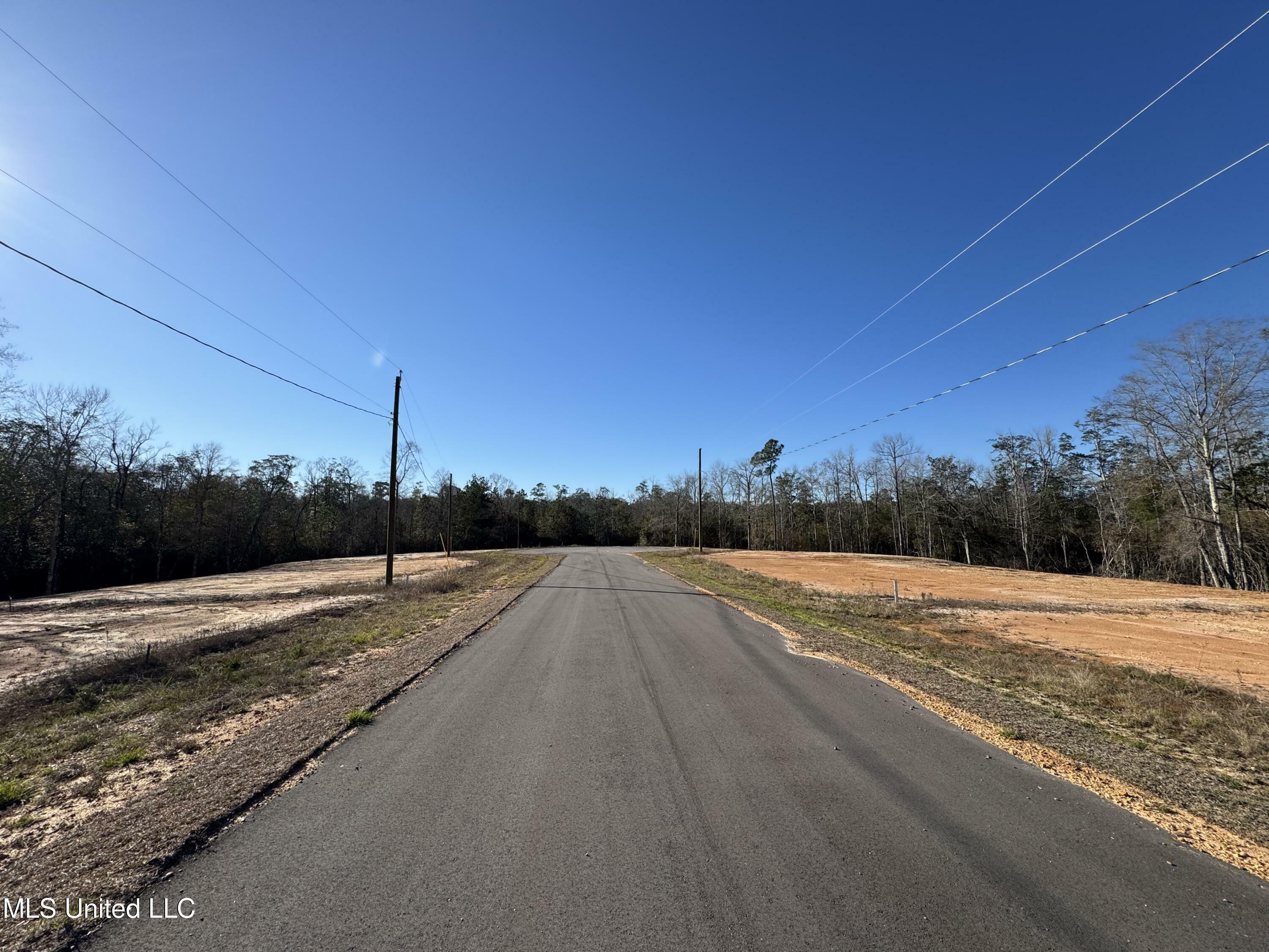 Property Photo:  Shadow Wood- Lot 1 Drive  MS 39573 