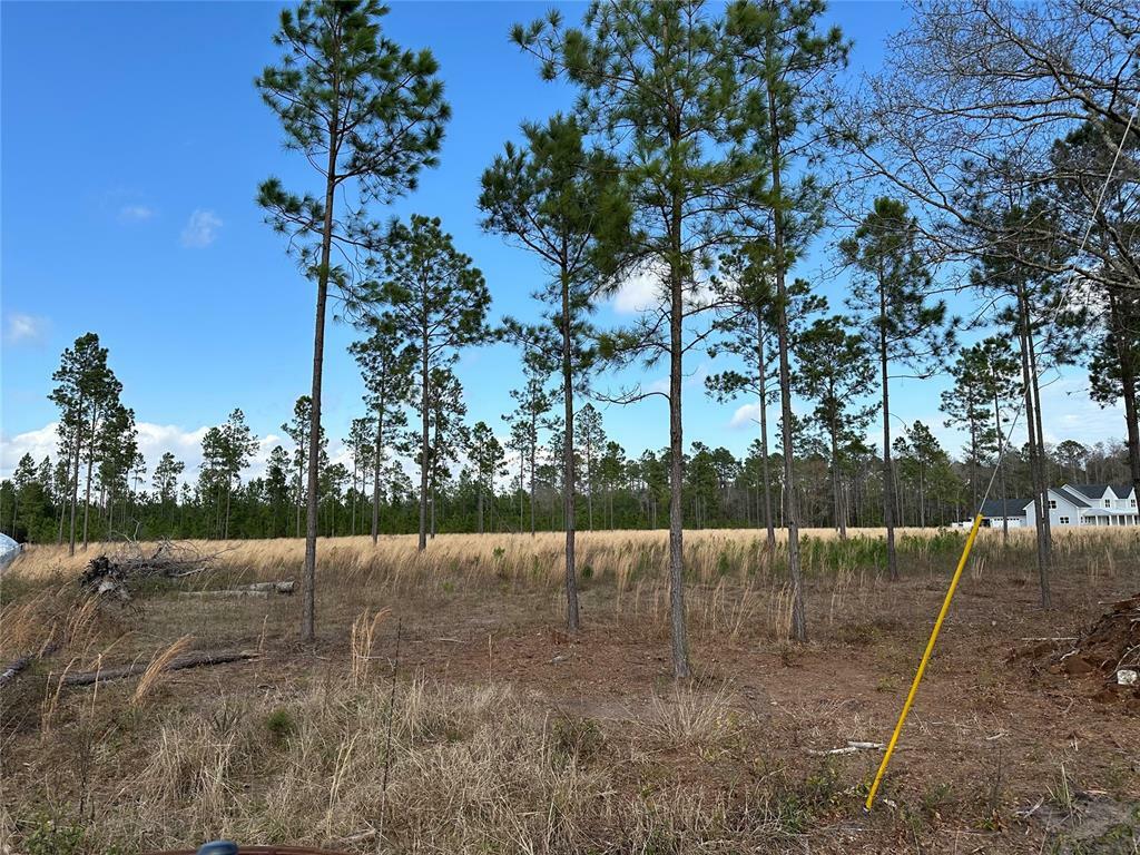 Property Photo:  15538 County Road 108  FL 32046 