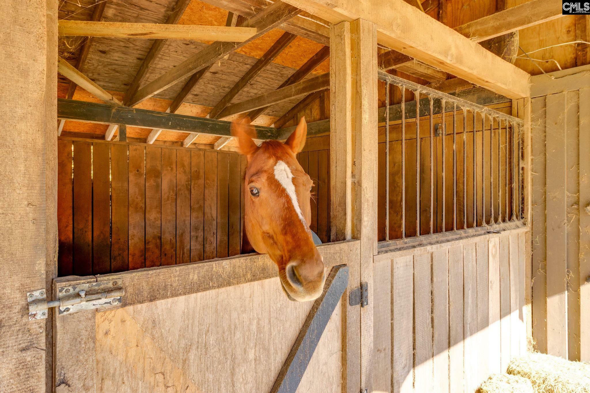 Property Photo: 650 Red Fox SC 29020