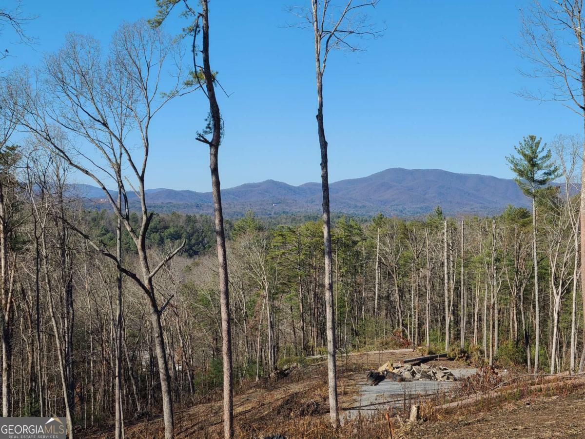 Property Photo:  1705 Old Northcutt Road Tr A  GA 30540 