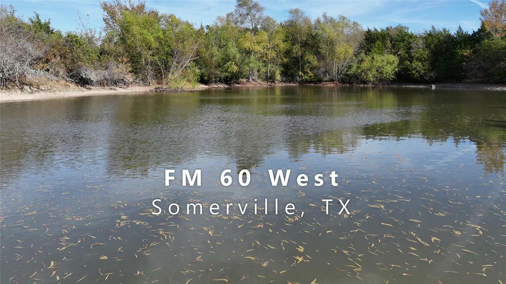 Property Photo: Tbd Fm-60 TX 77879