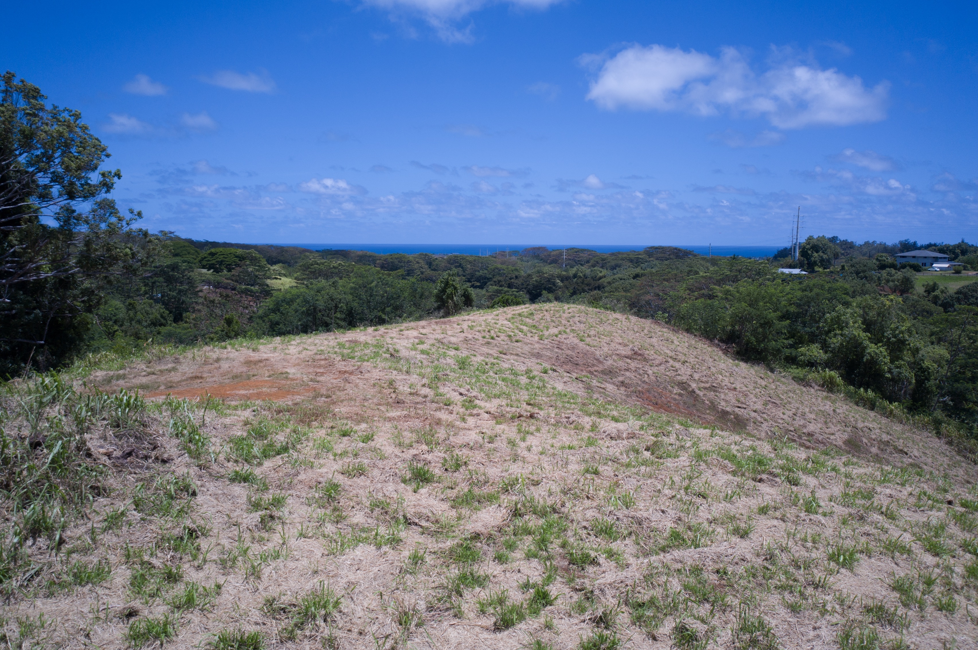 Hauiki Rd 2  Kapaa HI 96746 photo