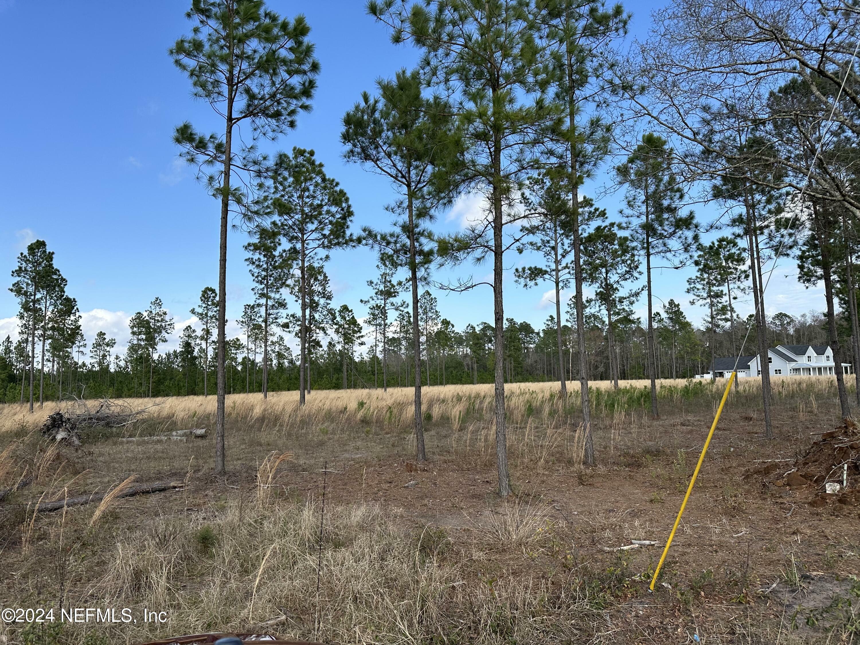 Property Photo:  15538 Co Rd 108  FL 32046 