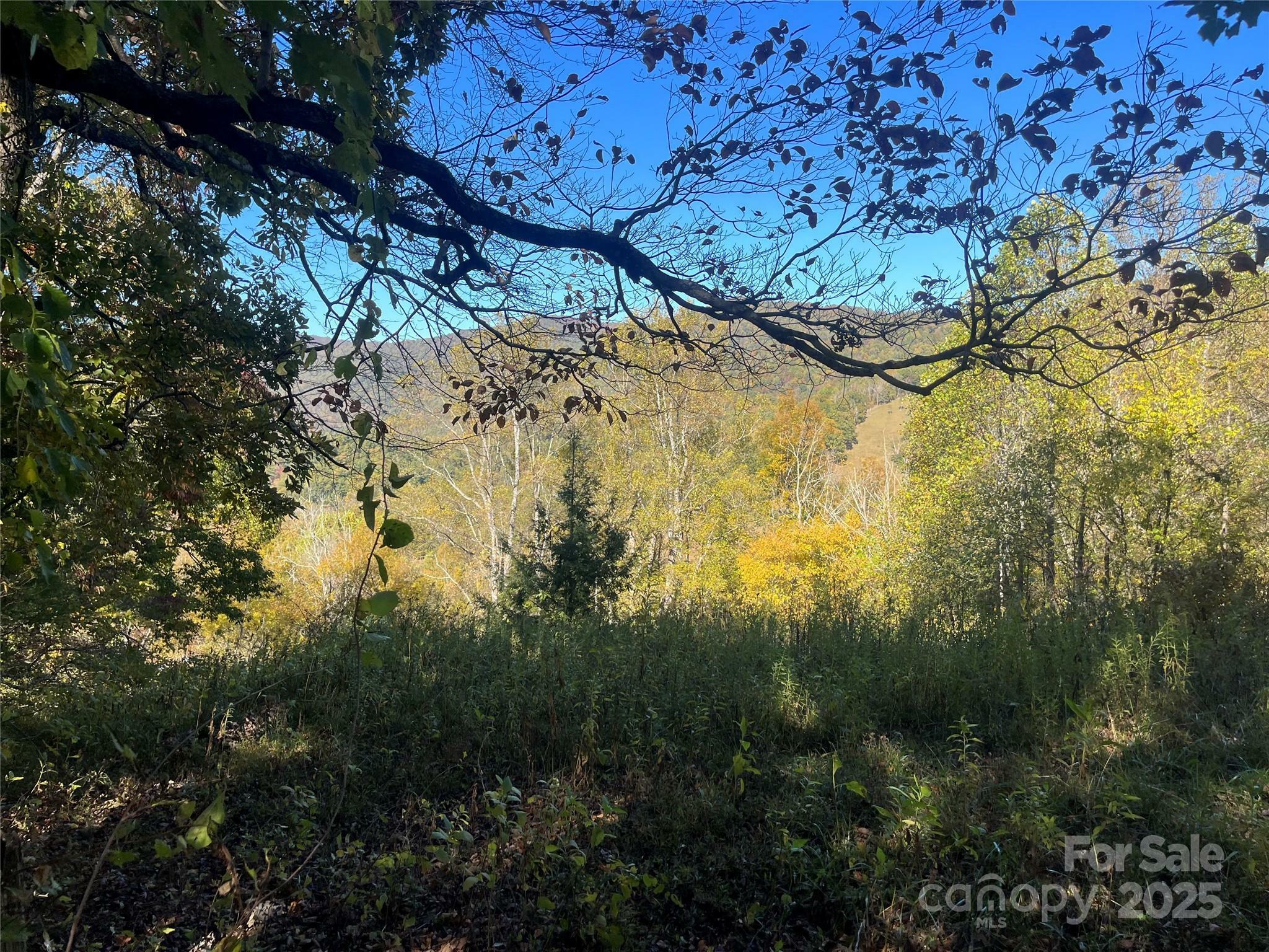 000 Upper Brush Creek Road  Marshall NC 28753 photo