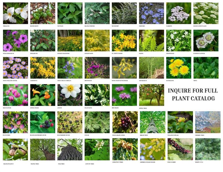 Property Photo:  340 Wendy Avenue  NC 28753