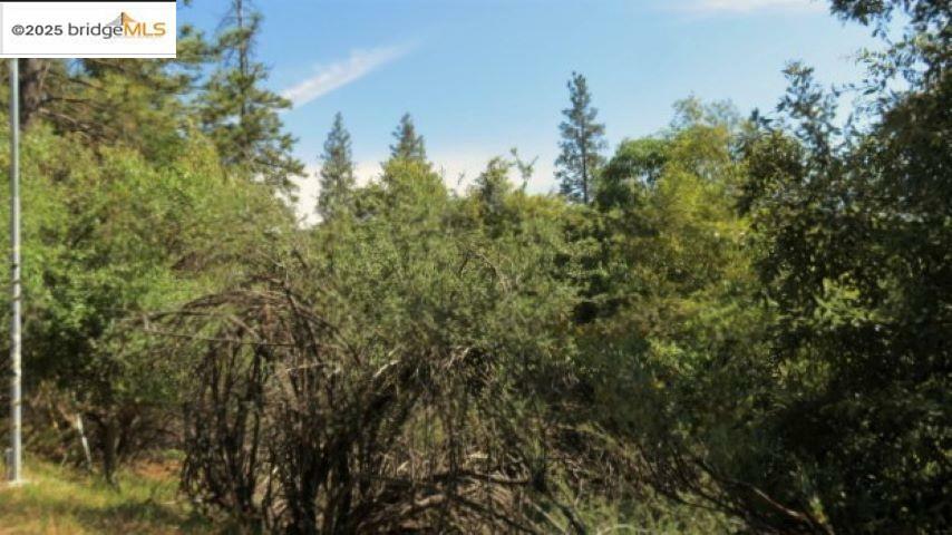 Property Photo: 16643 Sallander Drive CA 95370
