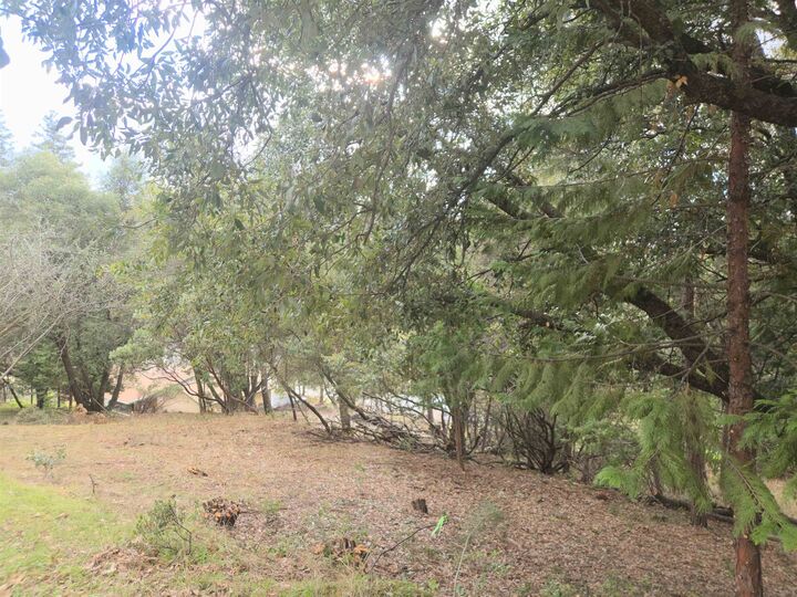 Property Photo:  16643 Sallander Drive  CA 95370 