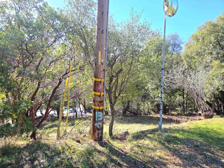 Property Photo:  16643 Sallander Drive  CA 95370 